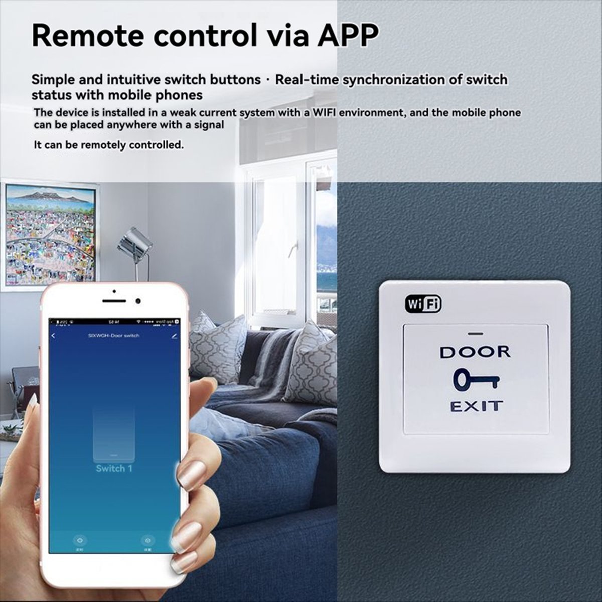 Exit Button Push To Release - DT82 New Tuya Smart Life WiFi