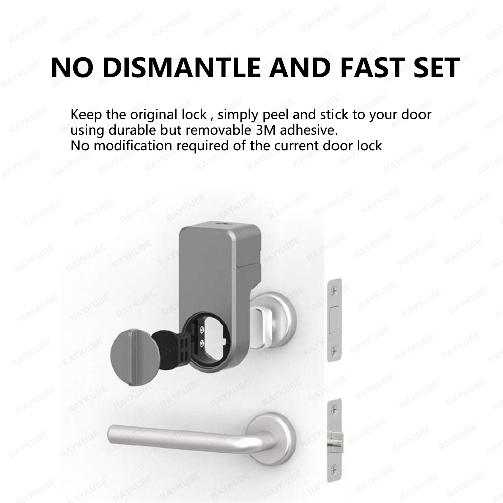 RAYKUBE A1 Pro Tuya BEL Smart  - огляд і ціна Fingerprint Access Control Door