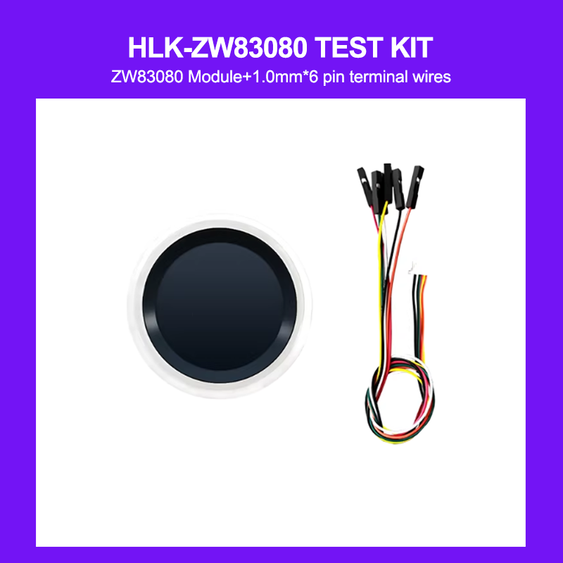 HLK-ZW83080 Smart Door Access  - огляд і ціна Fingerprint Access Control Door