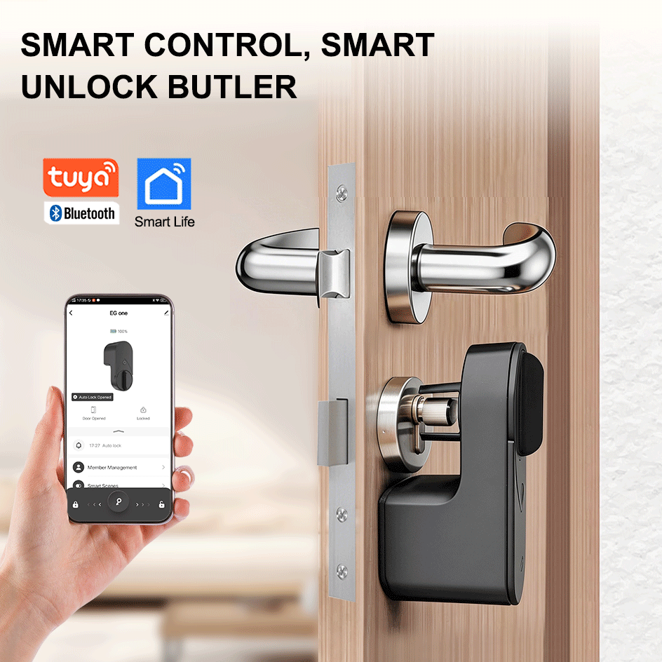 RAYKUBE EG One Tuya BLE Smart  - огляд і ціна Fingerprint Access Control Door
