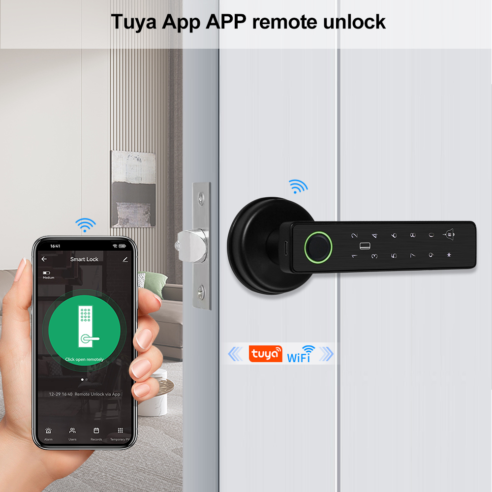 WiFi Tuya APP Biometric Finger - огляд і ціна Door Access Control Keypad Rfid