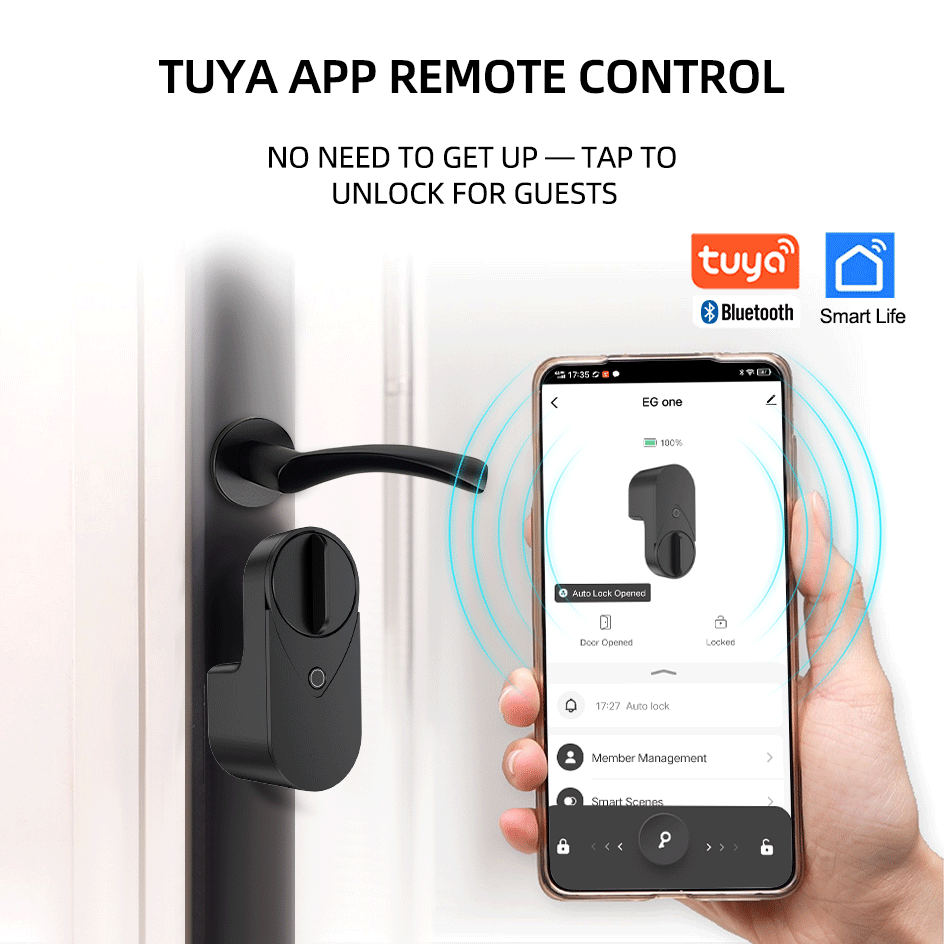 RAYKUBE EG One Tuya BLE Smart  - огляд і ціна Fingerprint Access Control Door