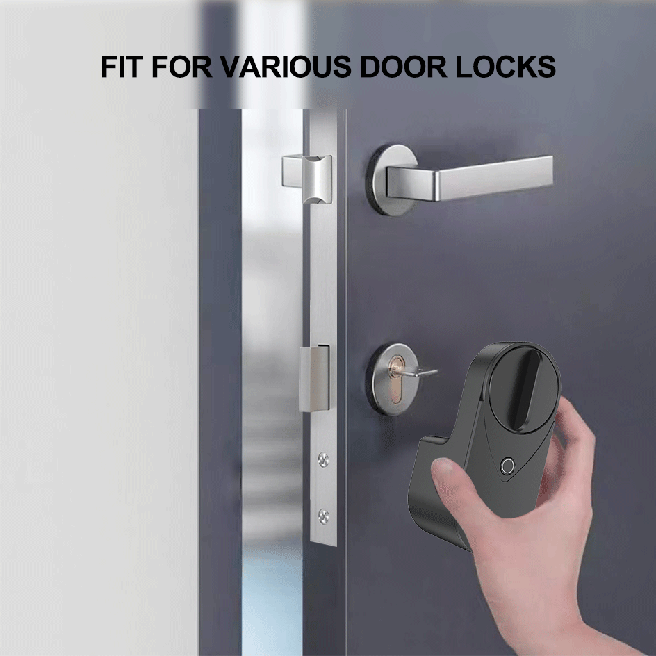 RAYKUBE EG One Tuya BLE Smart  - огляд і ціна Fingerprint Access Control Door