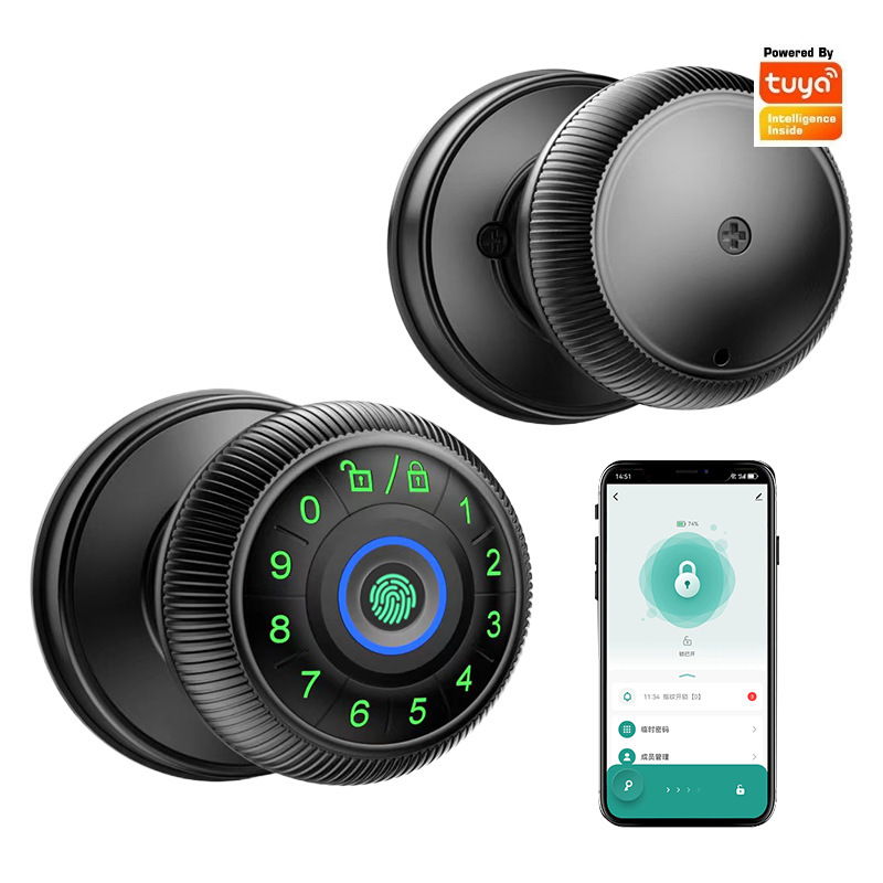 Tuya Password Ball Wooden Door - огляд і ціна Fingerprint Access Control Door