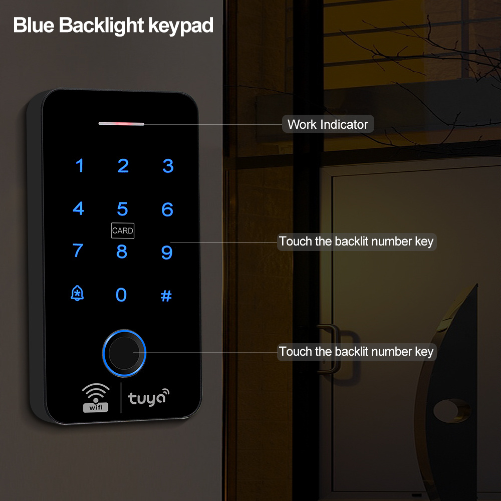 Wifi Bluetooth Tuya APP Outdoo - огляд і ціна Access Control System Rfid Kit